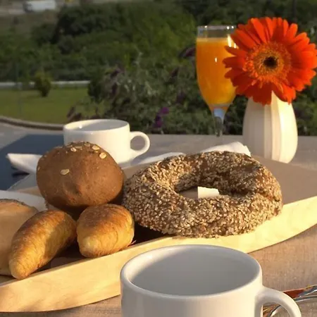 拜占提奥酒店 酒店